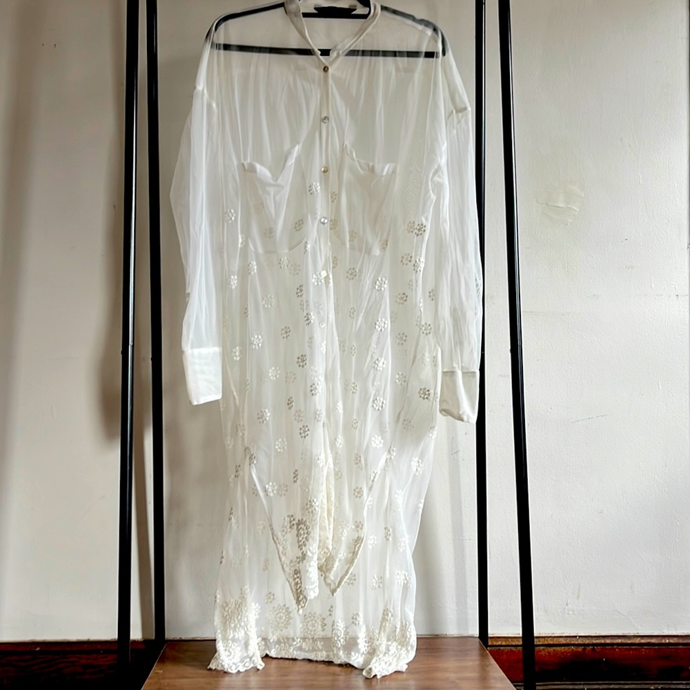 Sheer, long sleeve Zara shirt, medium